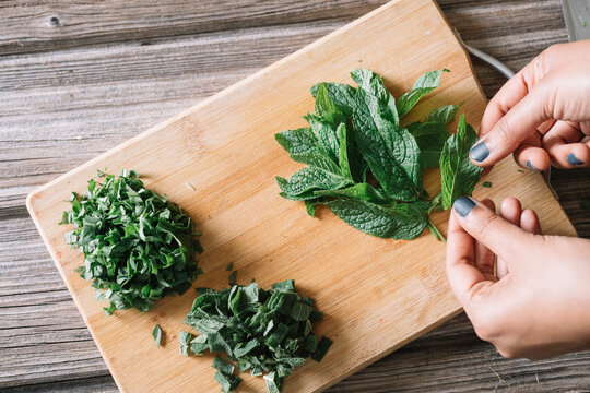 Anonymous Woman Cutting Fresh Mint Sage And Marjoram For Handmade Dolmadakia