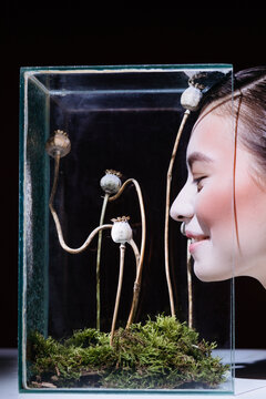 Asian woman beauty portrait