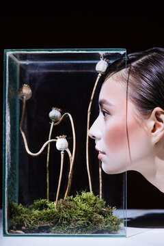 Asian woman beauty portrait