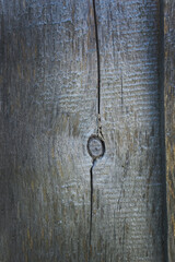 Texture Of Old Wooden Planks. Close-up. Vertical.