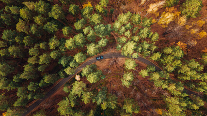Overhead view Of a brand new blue Car Driving Through Forest road