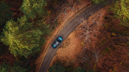 Overhead view Of a brand new blue Car Driving Through Forest road