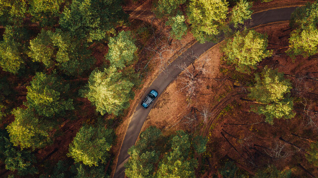 Overhead view Of a brand new blue Car Driving Through Forest road