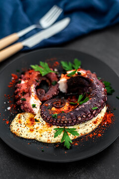 Grilled Octopus with hummus and spices on a dark background