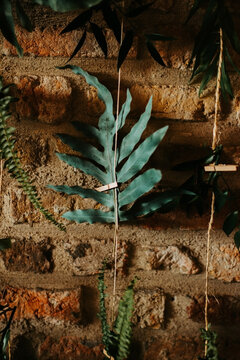 Monstera leaf hanging against a brick wall