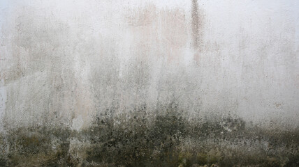 Dirty white wall cause of weather. Grunge background.