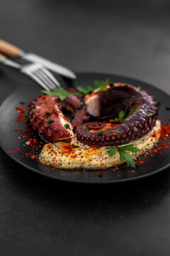 Grilled Octopus with hummus and spices on a dark background