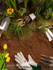 Spring flowers and gardening tools