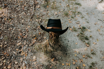 black cowboy hat on a tree trunk outdoors