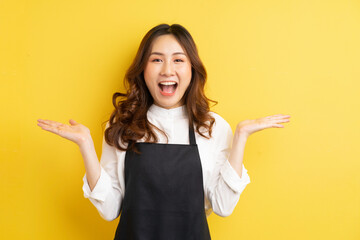 Beautiful housewife with gesture isolated on yellow background