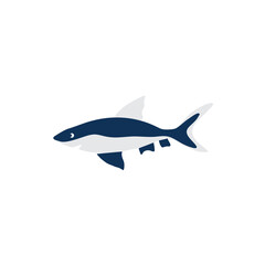 Obraz premium Decorative colorful shark, wild danger animal, cartoon character design, Cute flat vector illustration predator isolated on white, fish for design zoo alphabet, children invitation, greeting card