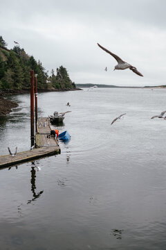 Coastal Industry Dock Worker