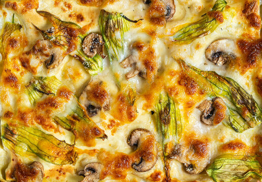 Baked Lasagna with b&eacute;chamel sauce, mushrooms and courgette blossoms
