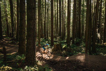 Man mountain biking in the forest
