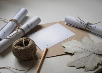 A blank sheet of paper, a sheet of cardboard, a ball of linen thread, a poplar leaf, a pencil,...