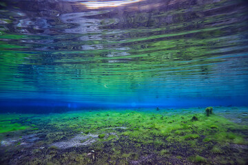 coral reef underwater landscape, lagoon in the warm sea, view under water ecosystem