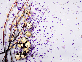 The beautiful easter composition of the willow branches and quail eggs with the purple blue dried...