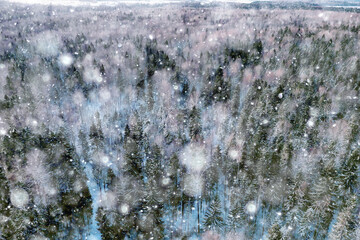 top view of a forest in winter, landscape of nature in a snowy forest, aero photo