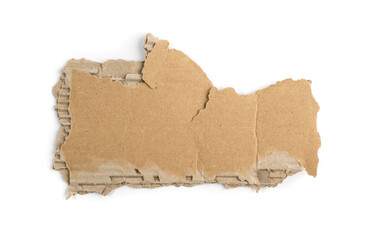 Cardboard, Carton, Ripped Kraft Paper, Wrapping Piece