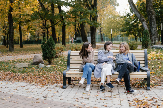 Women chatting on bench in park