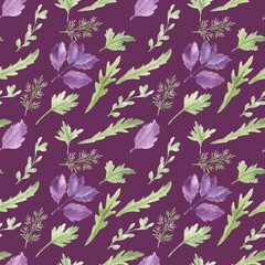 spices and herbs. Watercolor seamless pattern with herbs parsley, basil, thyme, arugula. Good for packaging, natural and organic products. Illustration for food, farming