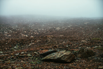 Stone field in dense fog in highlands. Empty stone desert in thick fog. Zero visibility in mountains. Minimalist nature background. Dark atmospheric foggy mountain landscape. Lichens on sharp stones.