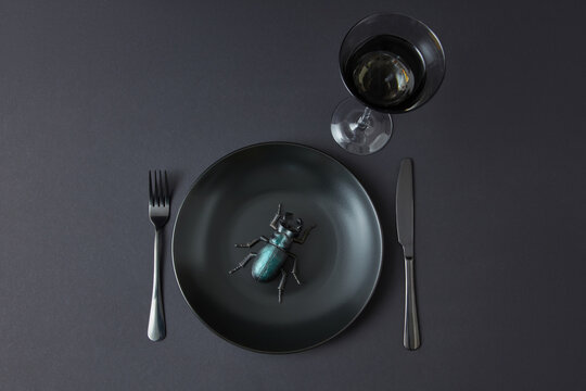 Served set from ceramic plate with bug and wineglass.