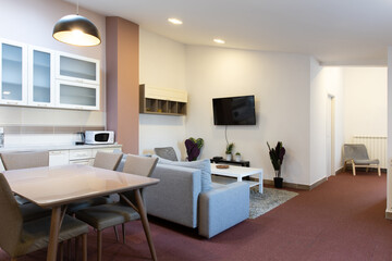 Kitchen and living room,  apartment interior