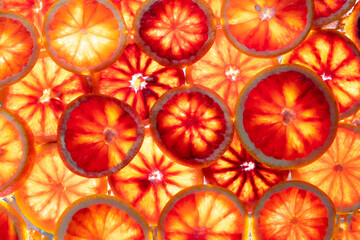 Red oranges fruit background. Sliced juicy orange. Food. Summer concept. Close-up on the light. Translucent