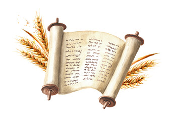 Torah and wheat. Symbol of Jewish holiday Shavuot. Watercolor hand drawn illustration, isolated on white background