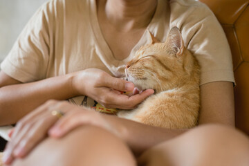 Asian woman hugging orange cat