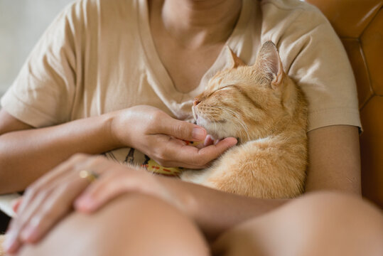 Asian woman hugging orange cat