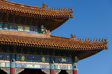 Fototapeta na wymiar Red roofs of Beijing temples