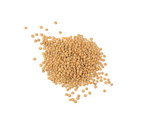 Raw Dry Lentils, Lentil Grains, Dal, Daal, Dhal, Masoor