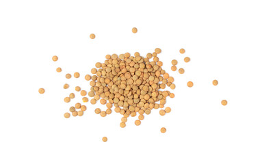 Raw Dry Lentils, Lentil Grains, Dal, Daal, Dhal, Masoor