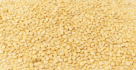 Paprika or Red Sweet Pepper Seeds Isolated on White