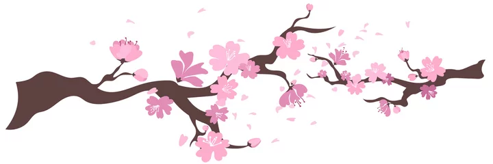 Sakura-Blumenrahmen. Hintergrund mit blühenden Kirschbaumzweigen. Japanische Blumen auf weißem Hintergrund. Vektor-Illustration © Cavid