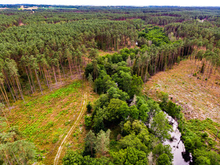 Fototapeta na wymiar Brda river and Tuchola forest in Poland. Aerial view