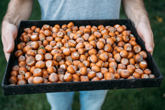 Man holds a plate full of nuts