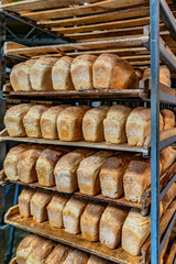 loaves of bread made from light flour on industrial shelves