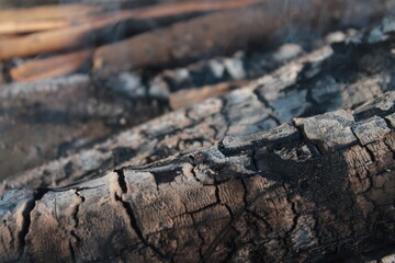 old wood background