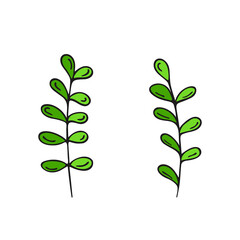 Hand-drawn plants.Doodle style,sketch,simple botanical line,drawing with floral elements,minimalism.Isolated.Vector illustration.