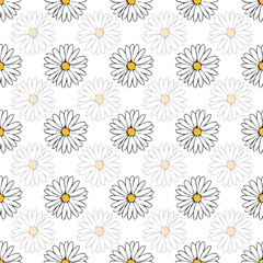 Vector white background white yellow lemony floral seamless pattern. Daisies, Seamless pattern background
