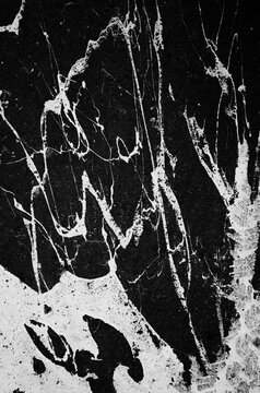 White Paint Splattered On Pavement