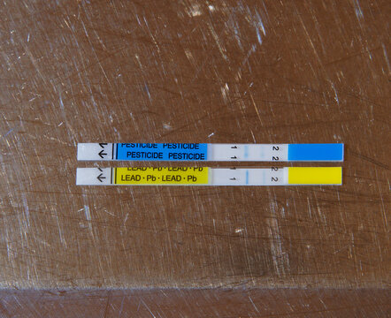 Test Strips From A Home Water Testing Kit (Pb) For Lead Or Pesticide Contamination Of Domestic Drinking Water.