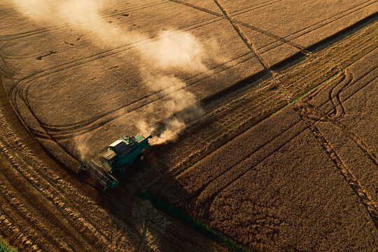 Aerial view of combine harvester in wheat field