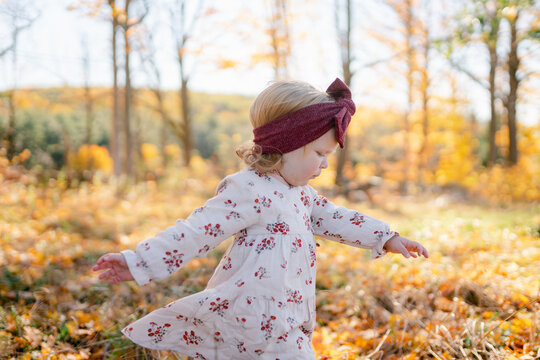toddler in field in the fall