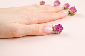 Female hand with pastel nail design. Pink nail polish manicured hand with rosebuds on background. Manicure and spa hand care concept