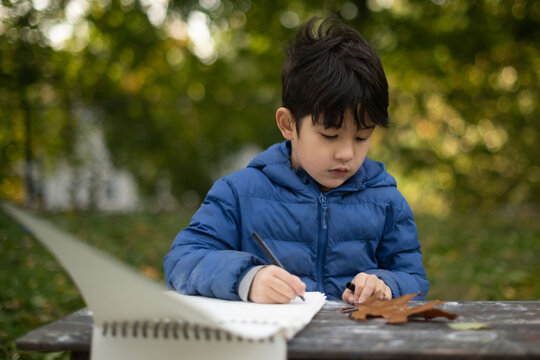 Little kid drawing picture of leaf