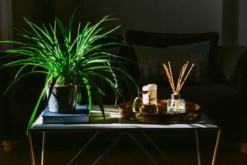 Sunlit interior decor still life